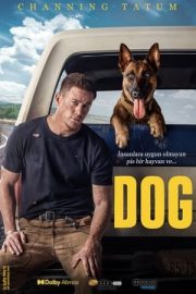 Köpek izle