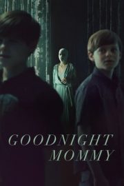 Goodnight Mommy izle