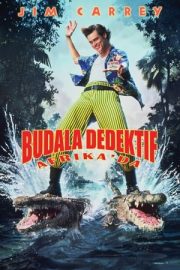 Budala Dedektif Afrika’da izle