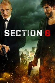 Section 8 izle