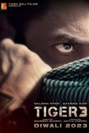 Tiger 3 izle