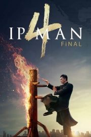 Ip Man 4: Final izle