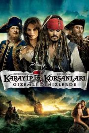 Karayip Korsanları 4: Gizemli Denizlerde izle